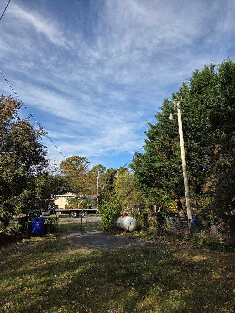 All Photos for Alexander's Tree Service  in Newburg,  MD