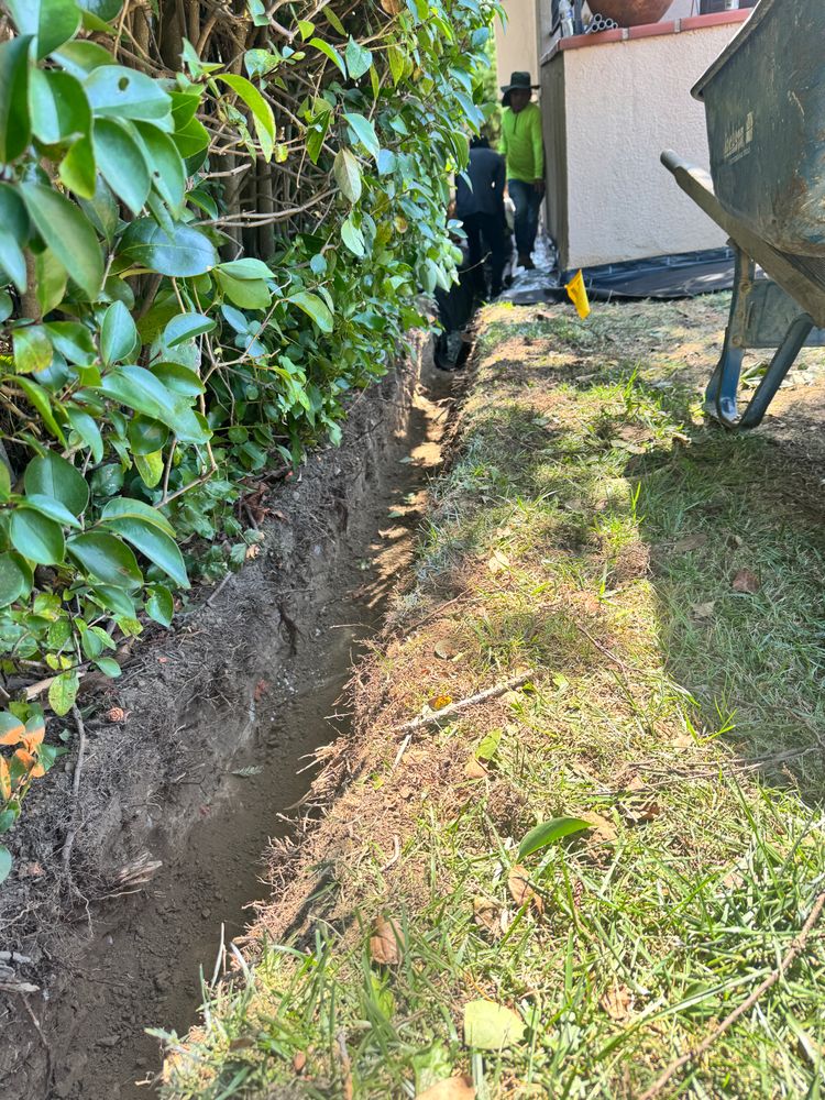 All Photos for Digging Dudes in Hayward, CA