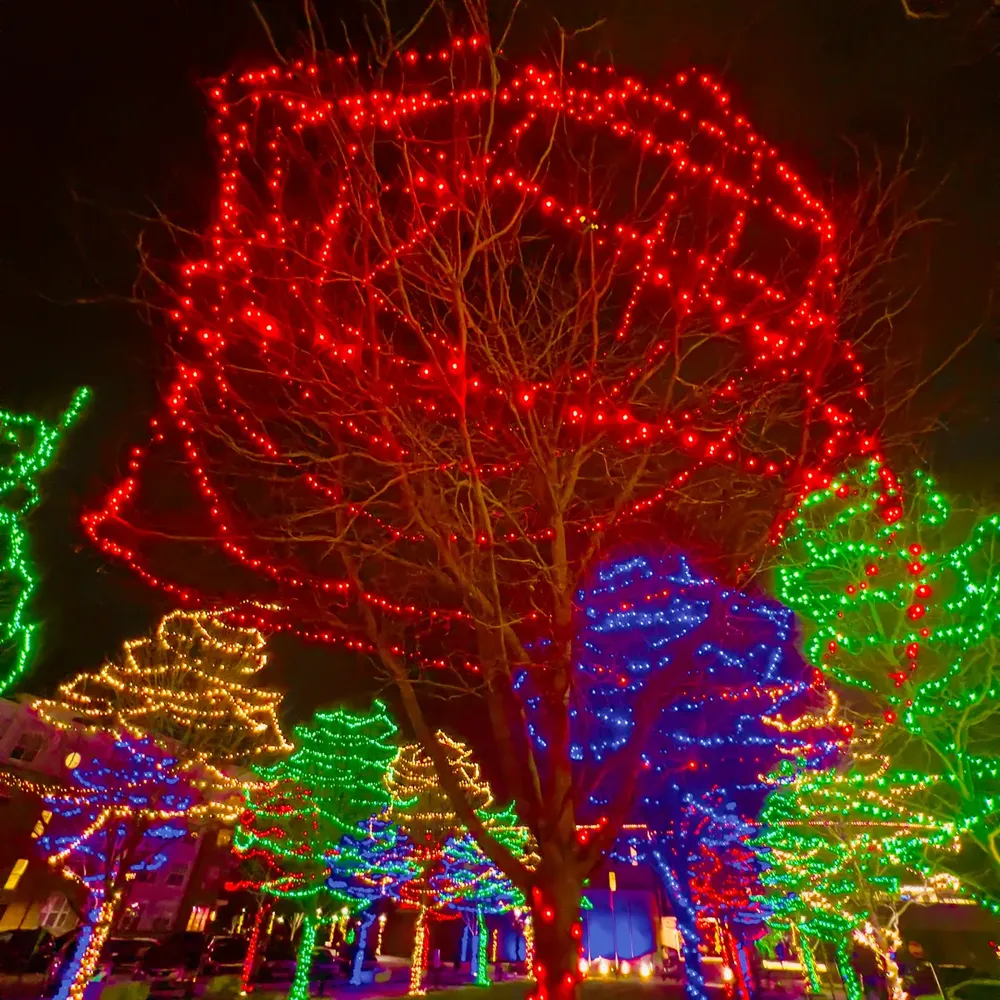 Holiday Light Installation for Amazing Christmas Lights in Magnolia, TX