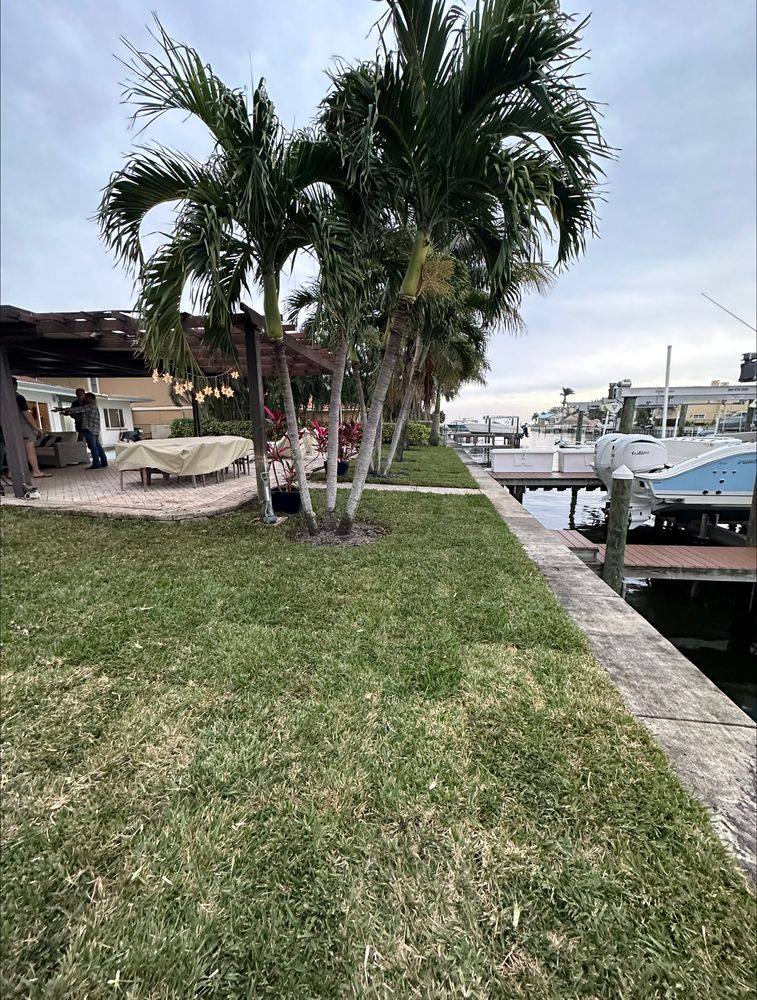 Our Tree & Shrub Care service enhances health and beauty, offering professional pruning, disease control, and fertilization to ensure vibrant growth and longevity for your landscape's trees and shrubs. for Oceanfront Landscape in St. Petersburg, FL