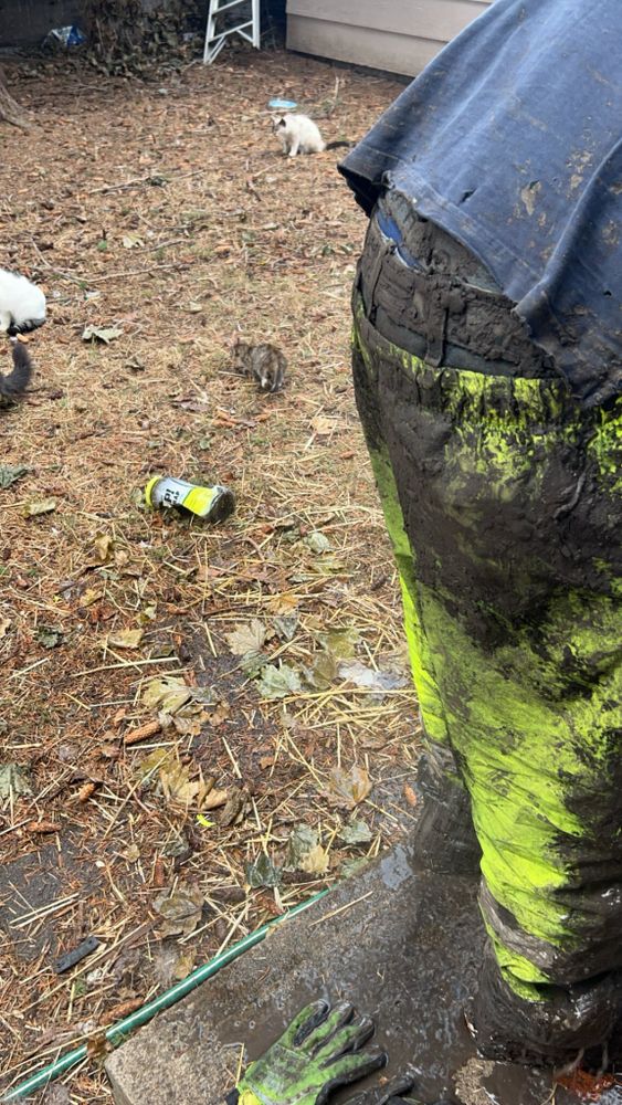 All Photos for Two Little Pigs Construction in La Grande, OR