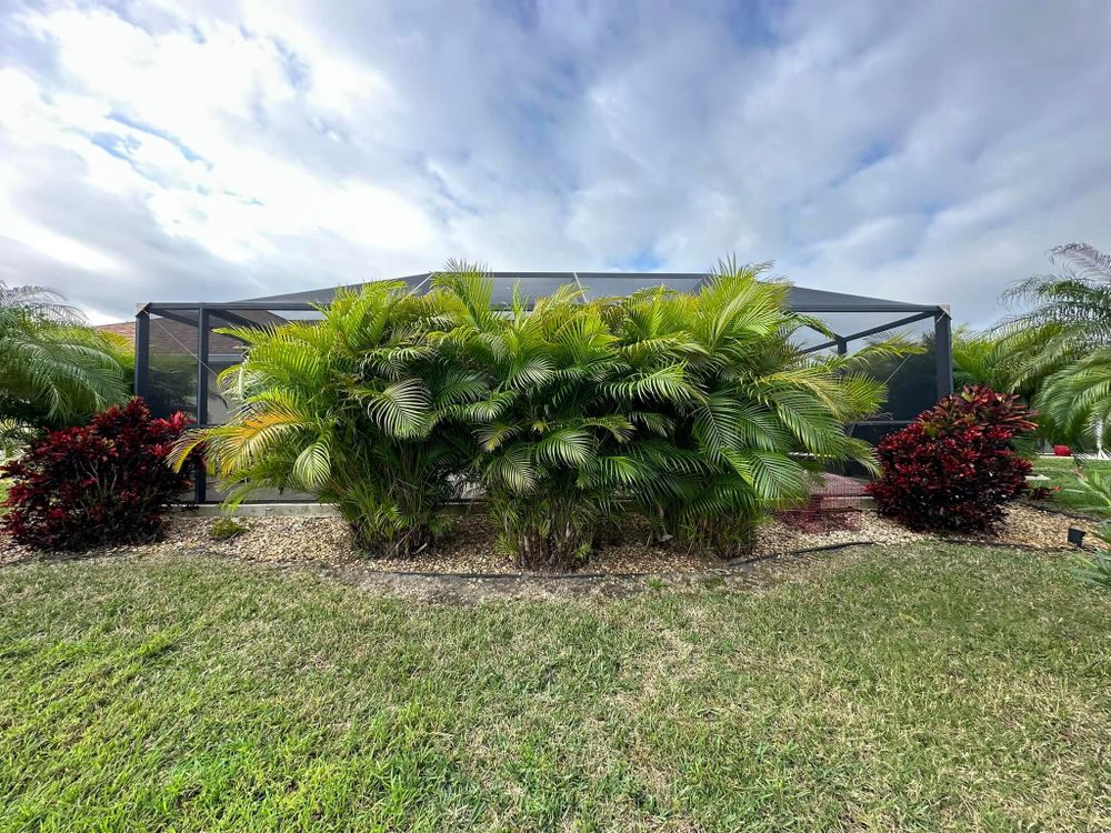 Tree Removal for MX Trees LLC in Englewood, FL