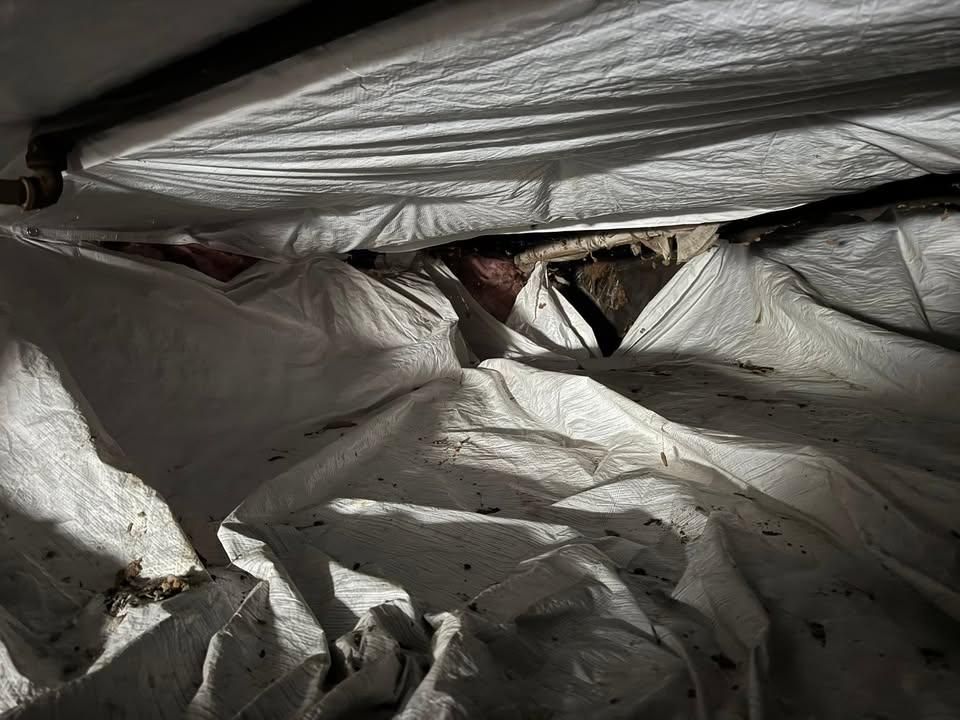 All Photos for The Guys Landscaping & Foundation Repairs LLC in Trenton, MI