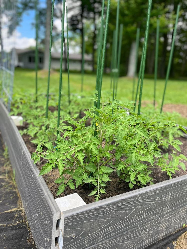 All Photos for Wolfe Custom Landscaping in Milford, OH