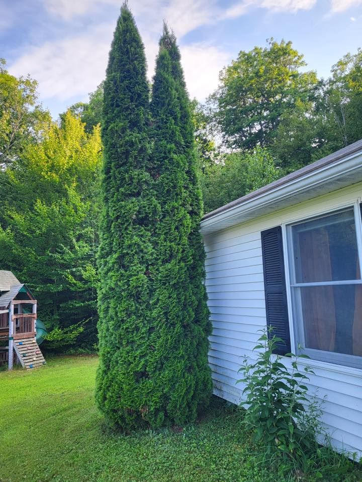 Transform your outdoor space with our Full Landscape Redesign service. We customize everything from plant selection to hardscaping, creating a beautiful and functional landscape tailored to your home's unique character. for CM & Sons Landscaping LLC in Benton, ME
