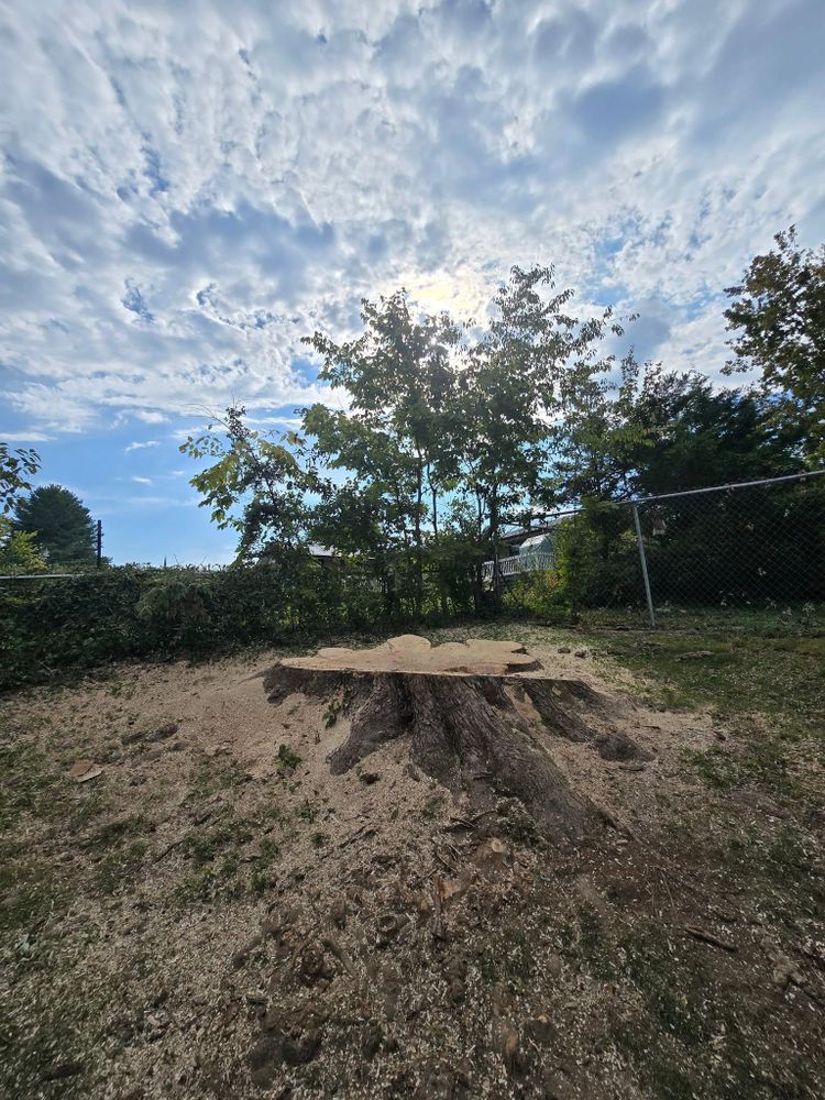 All Photos for M&L Lumber and Excavating in Jonesborough, TN