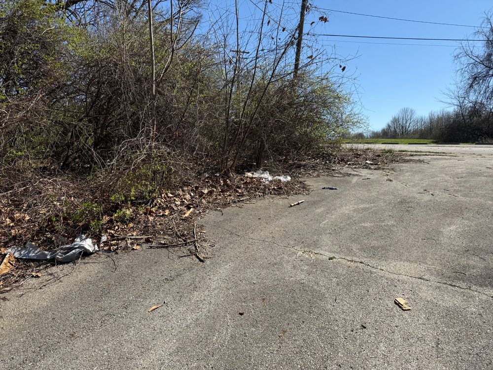 All Photos for A1 Bush Hogging & Lawn Service in London, OH