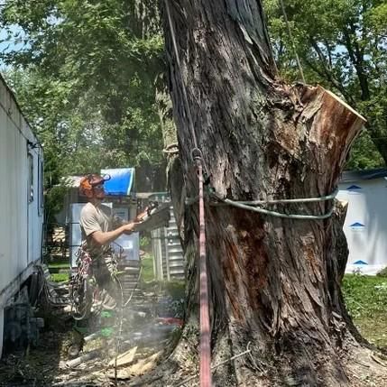 All Photos for Highborn Tree Service in Wheatfield, IN