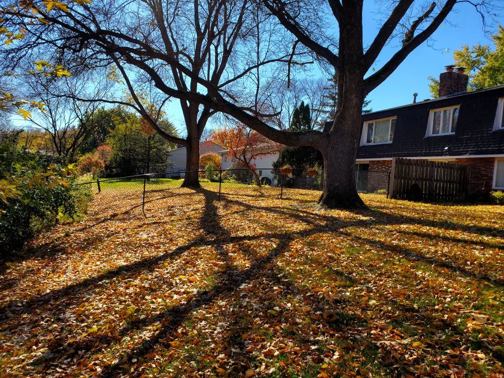 Fall clean up  for K & I Lawn Care Service  in Eden Prarie, MN