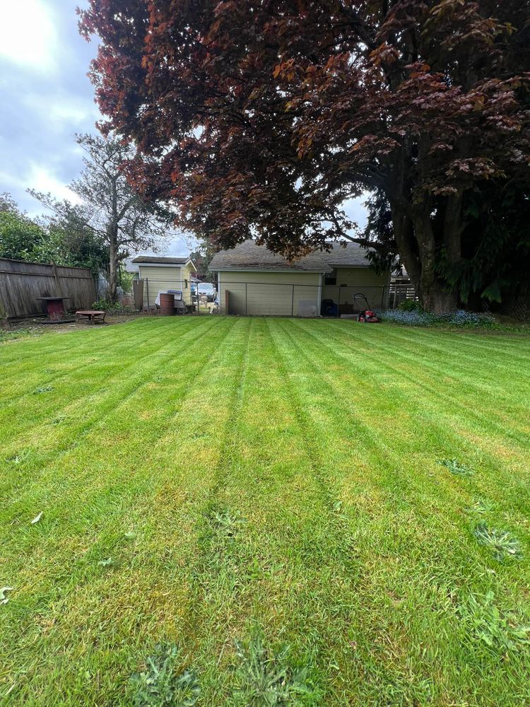 All Photos for The Lawn Ranger LLC in Tillamook, OR