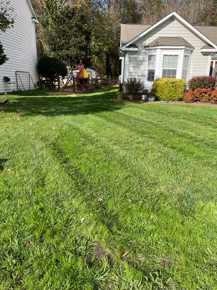 Lawn Care for Dream Cuts Landscaping and Lawn Care LLC in Gastonia, NC