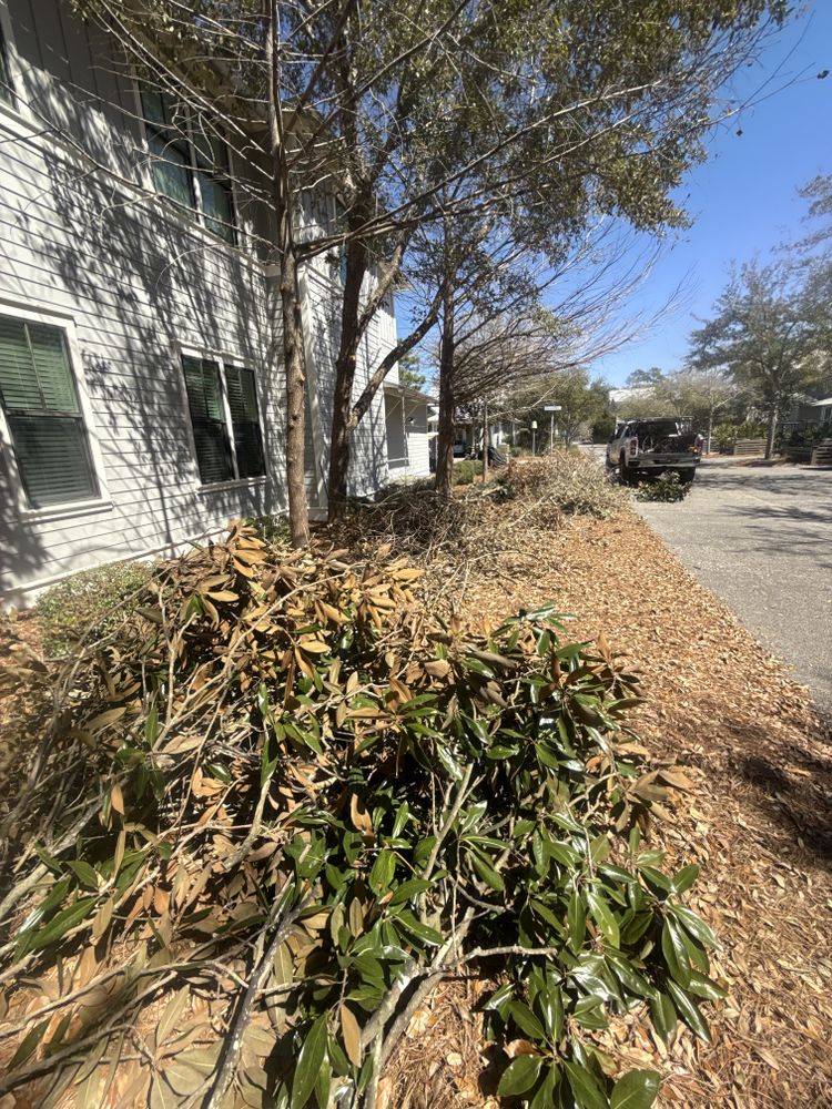 All Photos for Zip Junk Removal in Santa Rosa Beach, FL