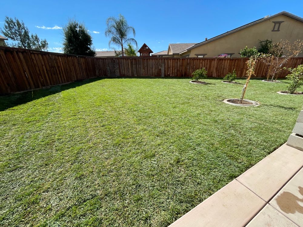 Sod Installations for Aidan Jade Landscaping in Riverside County, CA