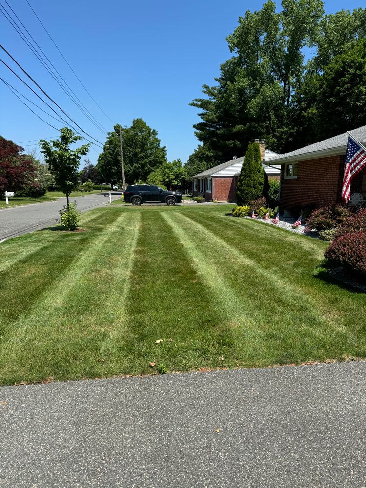 All Photos for Adams Landscaping in Springfield, MA
