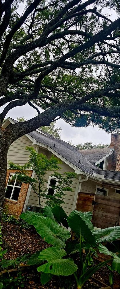 All Photos for Servin's Tree Care  in Houston, TX