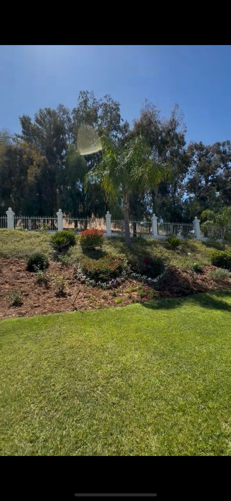 All Photos for Herreras Land Service in San Diego, CA