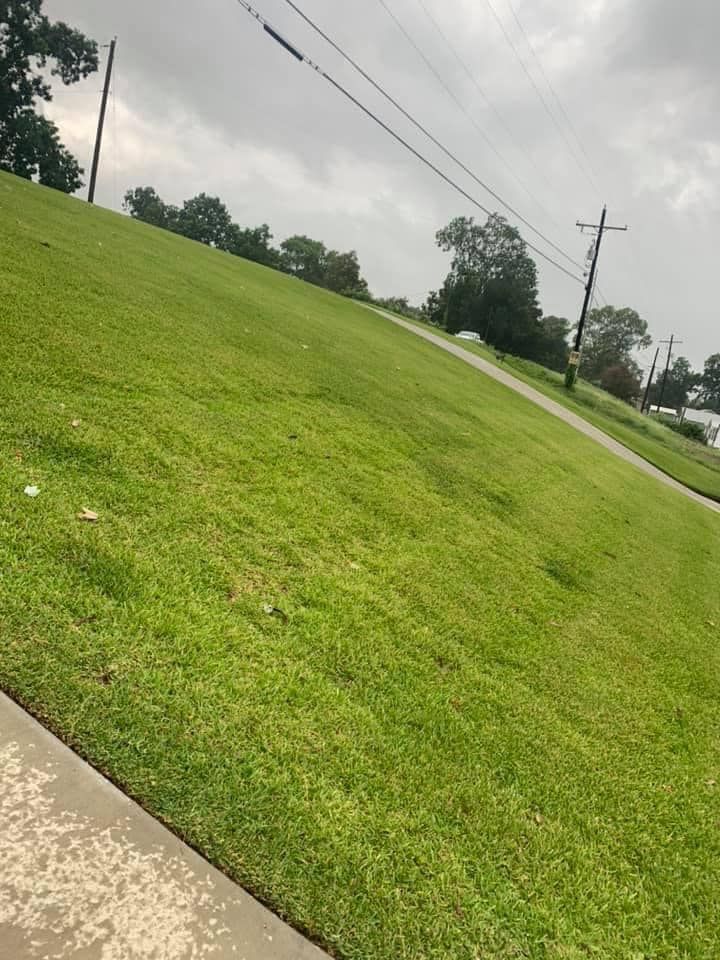 Hydroseeding for Holland Hydroseeding LLC in Columbia, MS