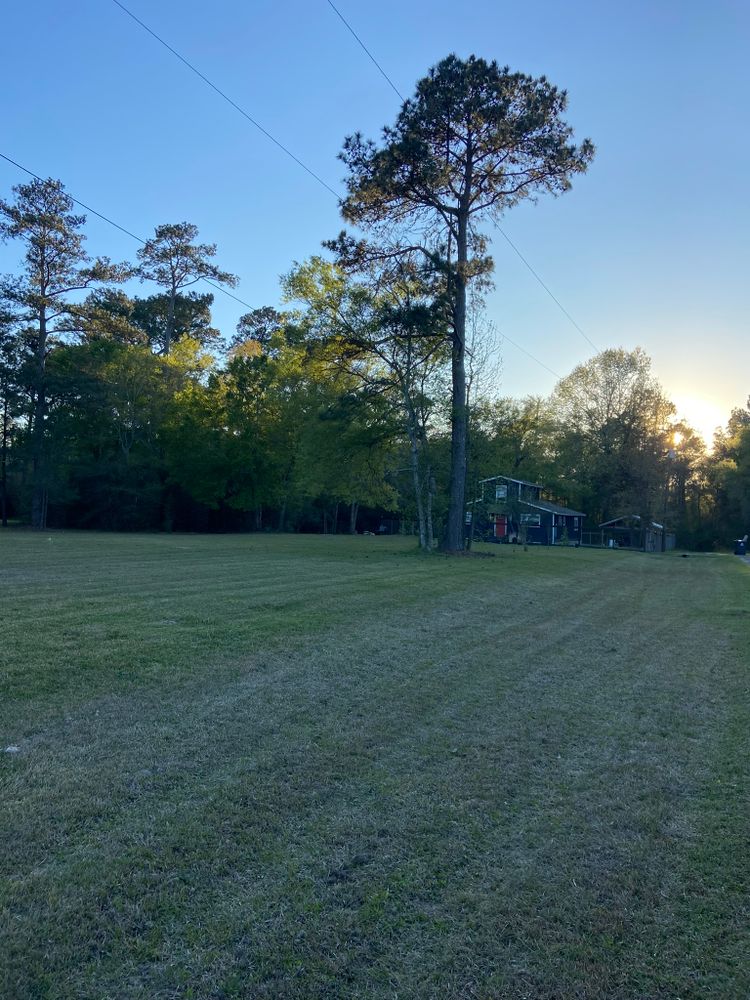 All Photos for Texas Vision Lawn & Landscape in Beaumont, TX