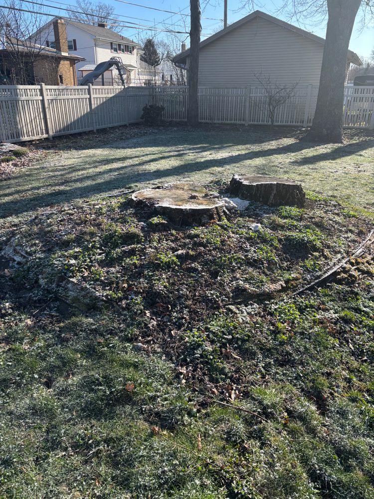 All Photos for Dean's Stump Removal in Youngstown, OH