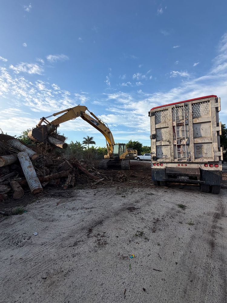 All Photos for Nurry Tree Services in Miami, FL