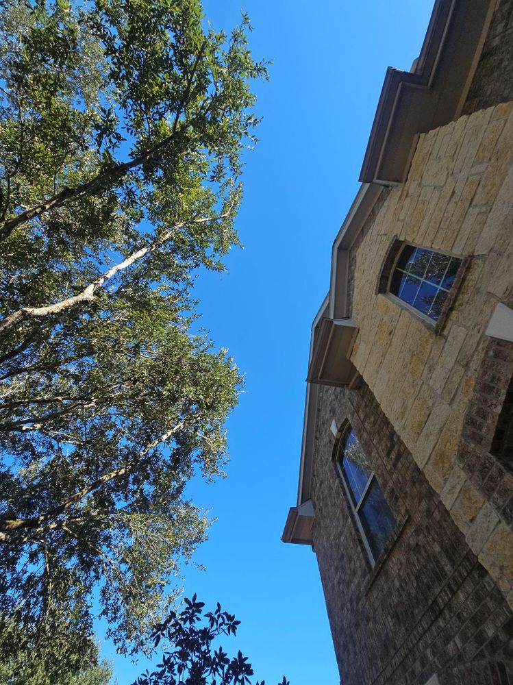 All Photos for Servin's Tree Care  in Houston, TX