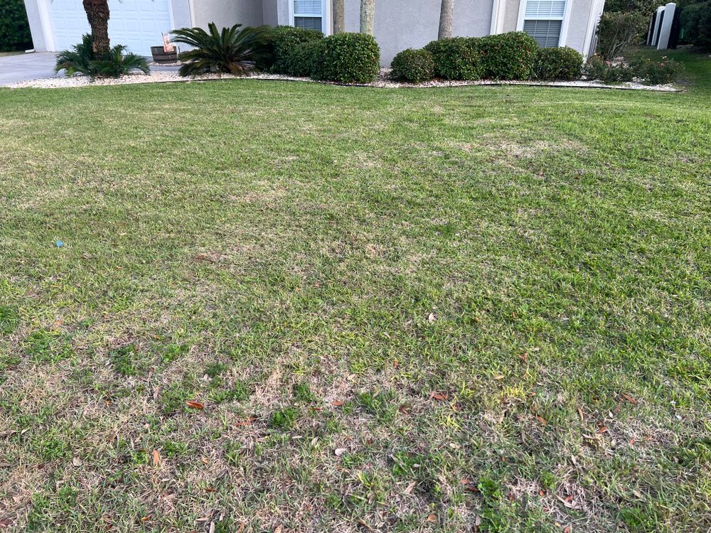 All Photos for Lawn Dog Mowing and Lawn Services in Panama City, FL