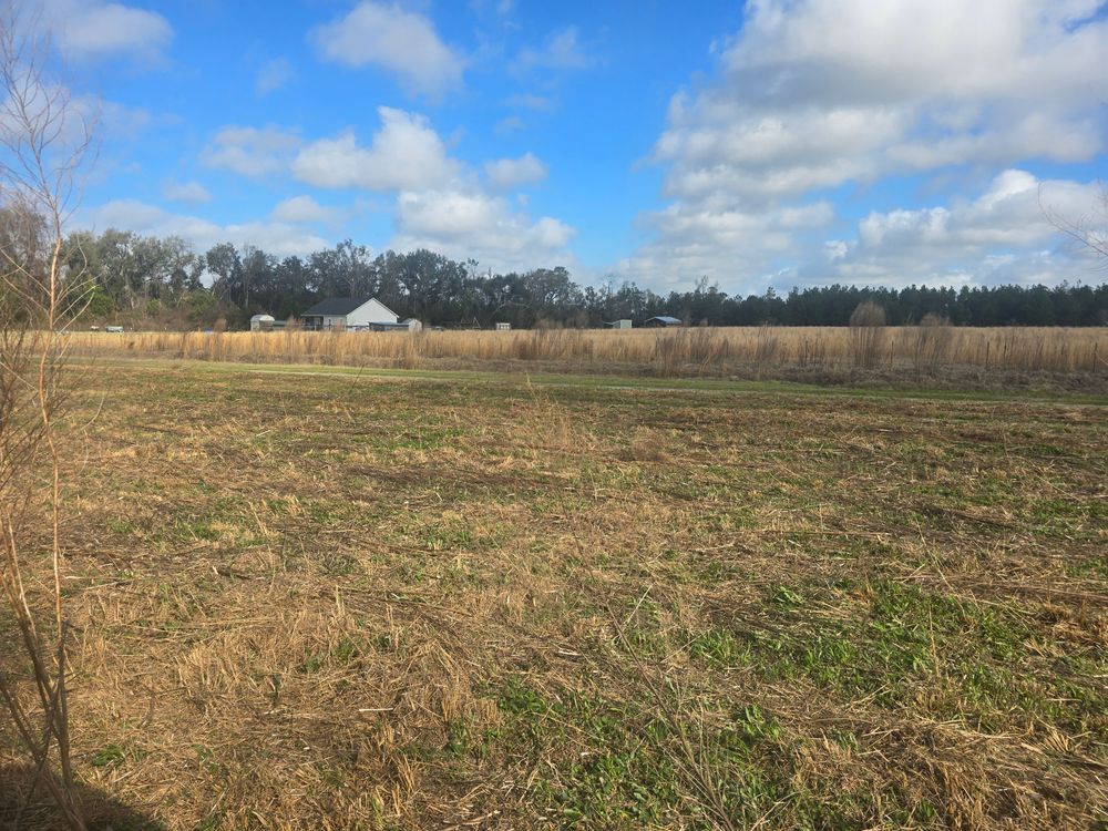 All Photos for Giles Land Management, LLC in Hahira, GA