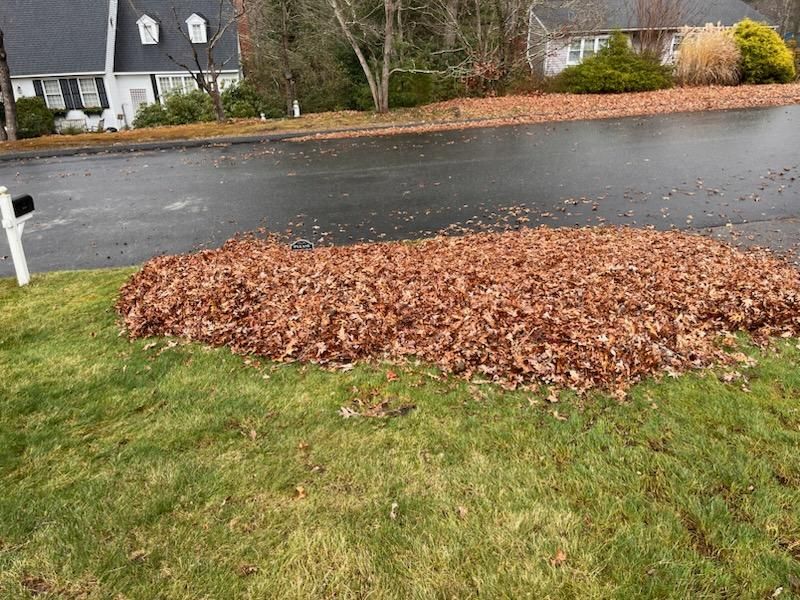 Our professional brush clearing and cleaning services efficiently remove overgrown vegetation, enhancing your property's safety and beauty. Transform your landscape with our expert team dedicated to improving outdoor spaces for homeowners. for Adens Lawn Maintenance LLC  in Old Lyme, CT