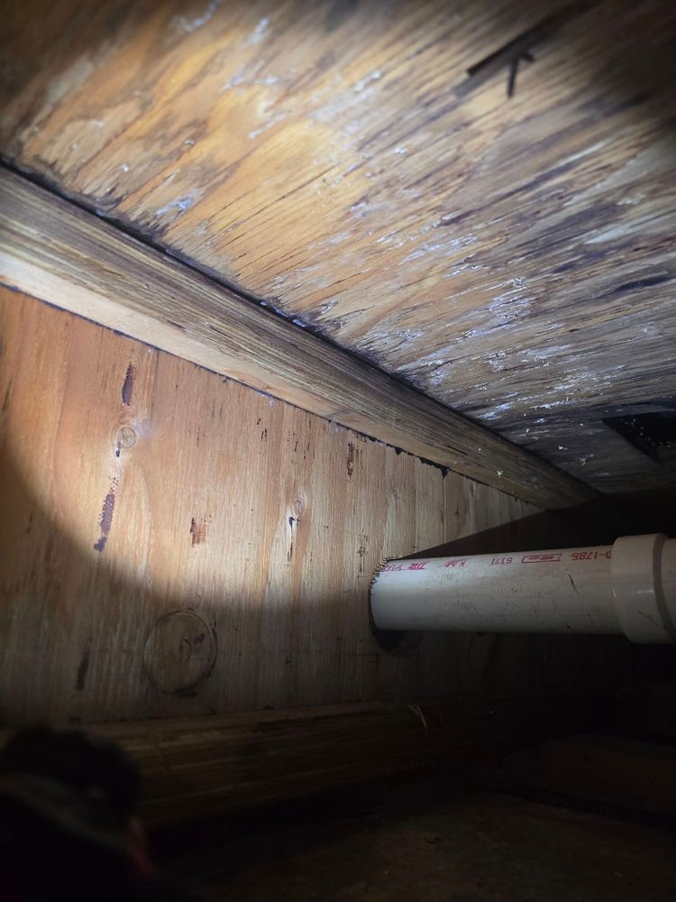 All Photos for Donovan & Sons in Fredericksburg, VA