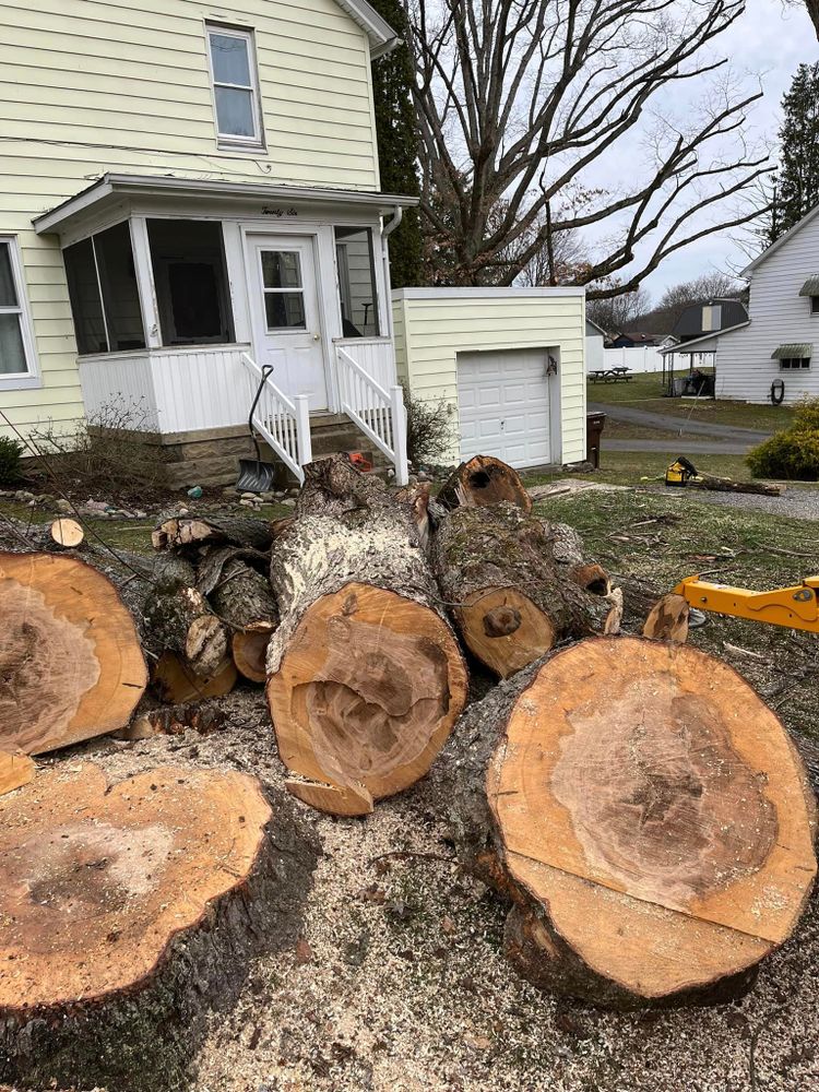 Tree Removal for J&E Tree & Excavation Services in Sandy, PA