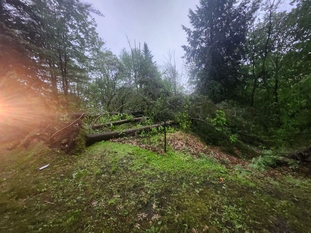 All Photos for Clifford’s Quality Tree Care & Landscaping in Enfield, NH