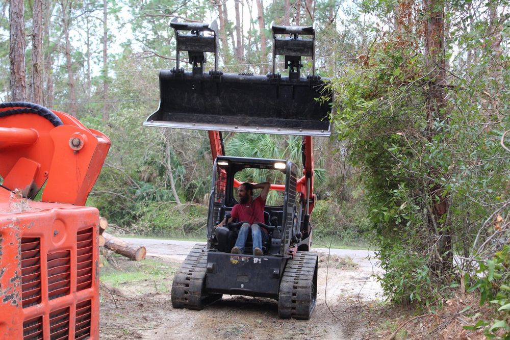 Tree Removal for American Tree Masters in Alvin, TX