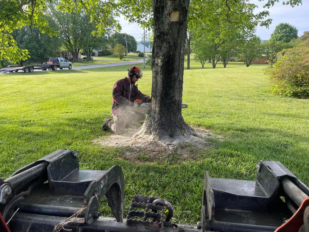 All Photos for Lucky’s Tree Removal and Landscape Services in Knoxville, TN