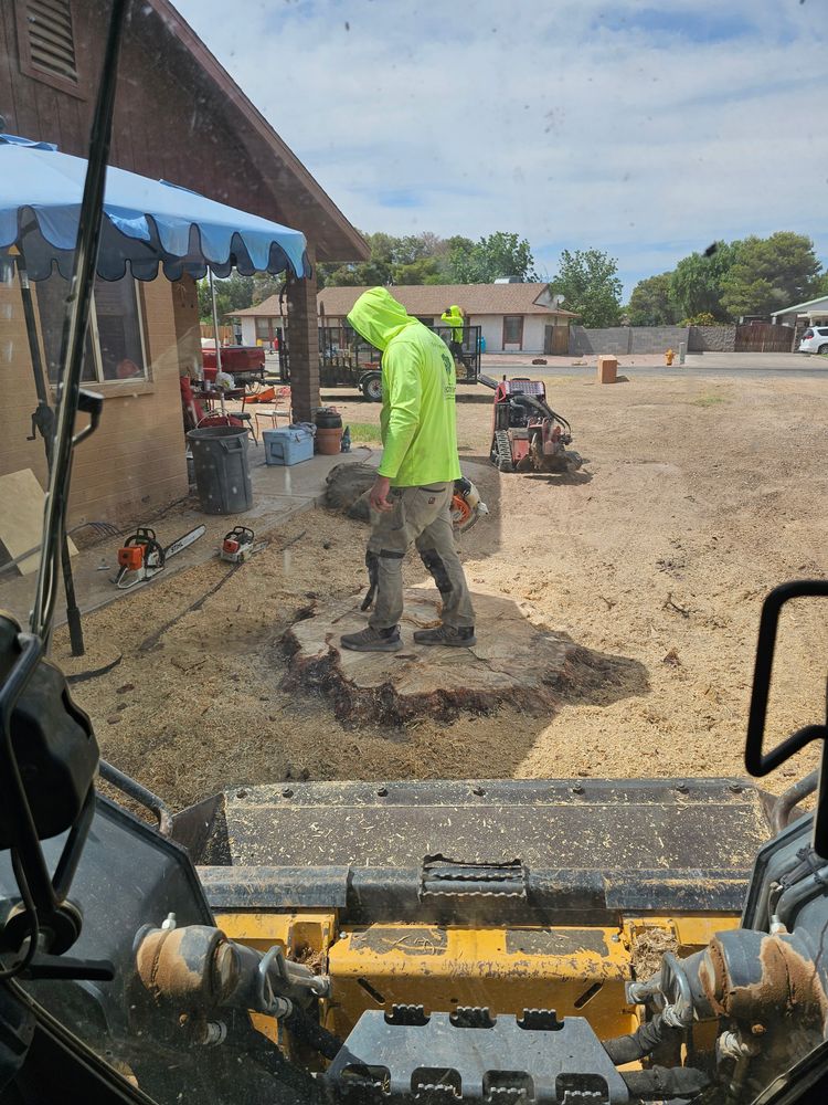 All Photos for T's Tree Service and Firewood in Apache Junction, AZ