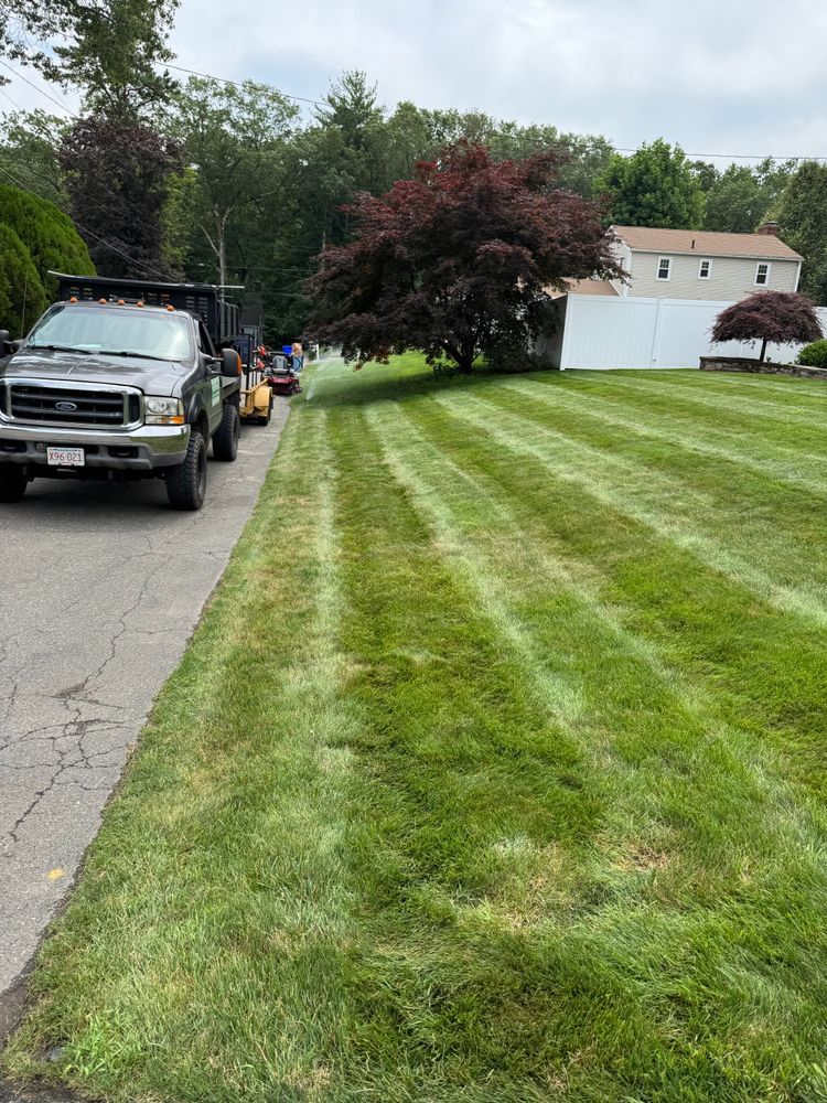 All Photos for Adams Landscaping in Springfield, MA