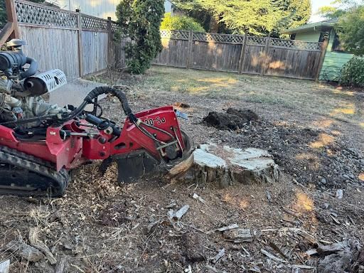 All Photos for Willamette Landscaping & Tree Services in Albany, OR