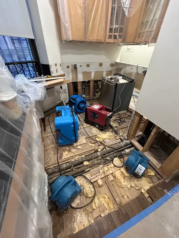 All Photos for CertaClean Restoration in Yonkers, NY