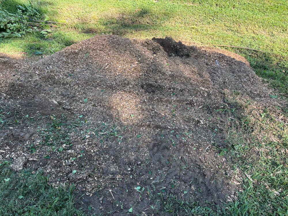 All Photos for Conrad's Stump Removal in Columbus, IN