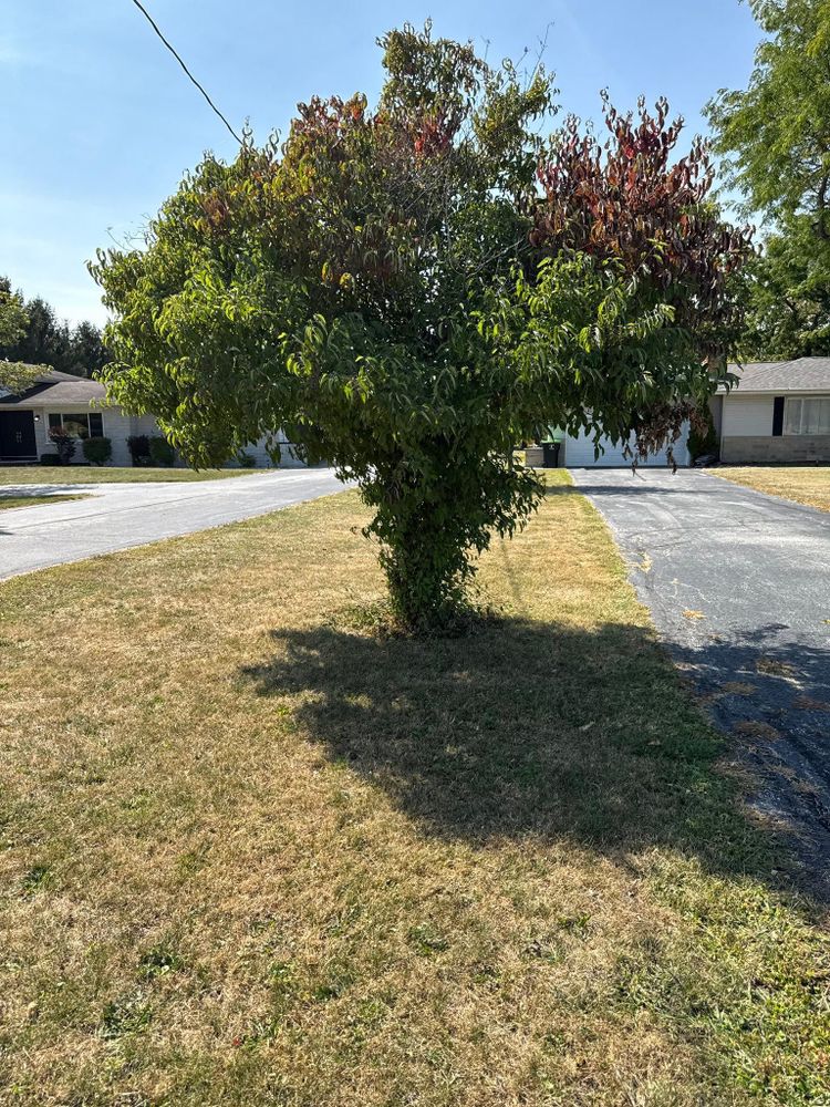 All Photos for OT Lawn and Landscaping LLC in Carey, OH