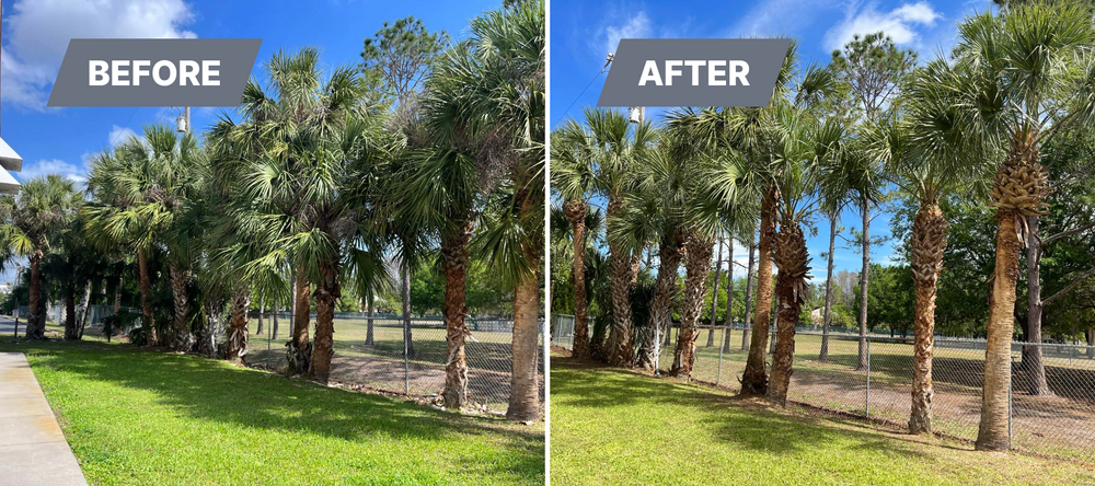 Landscape Design and Installation for Verimay's Garden and Landscaping in Hillsborough County, FL