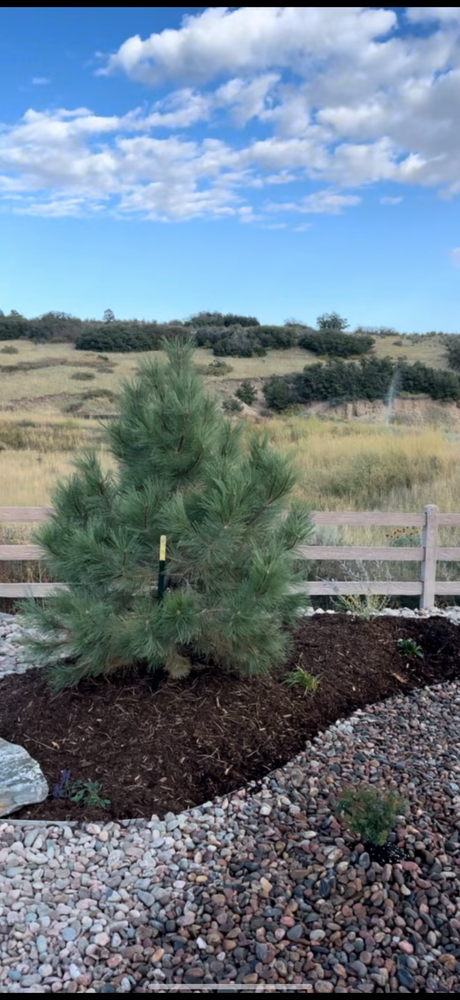 All Photos for Pikes Peak Landscaping in Colorado Springs, CO