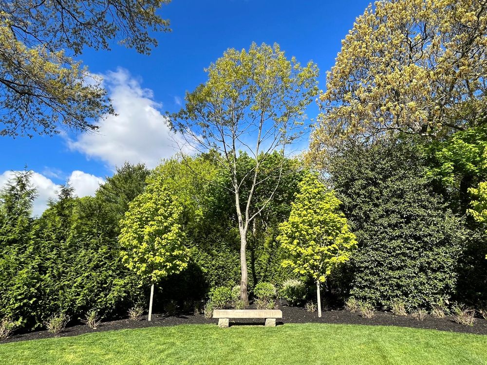 All Photos for Elegant Lawns & Landscaping in Inwood, NY