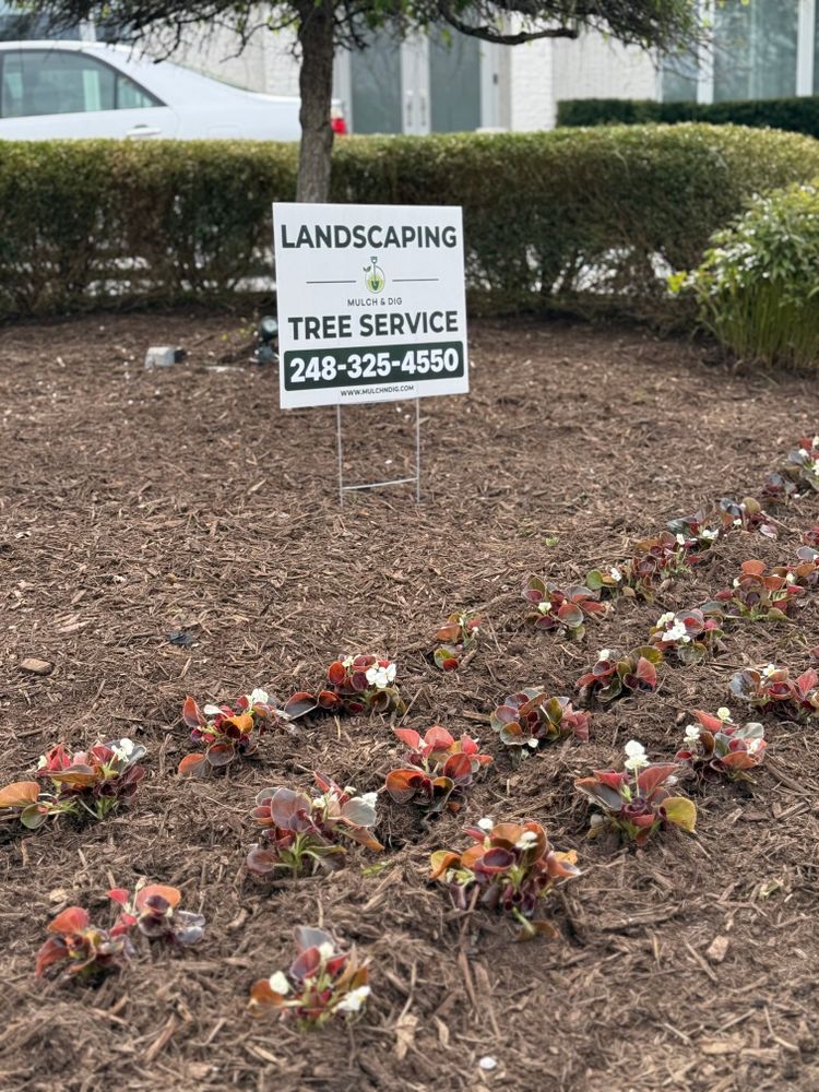 All Photos for Mulch & Dig in West Bloomfield Township, MI