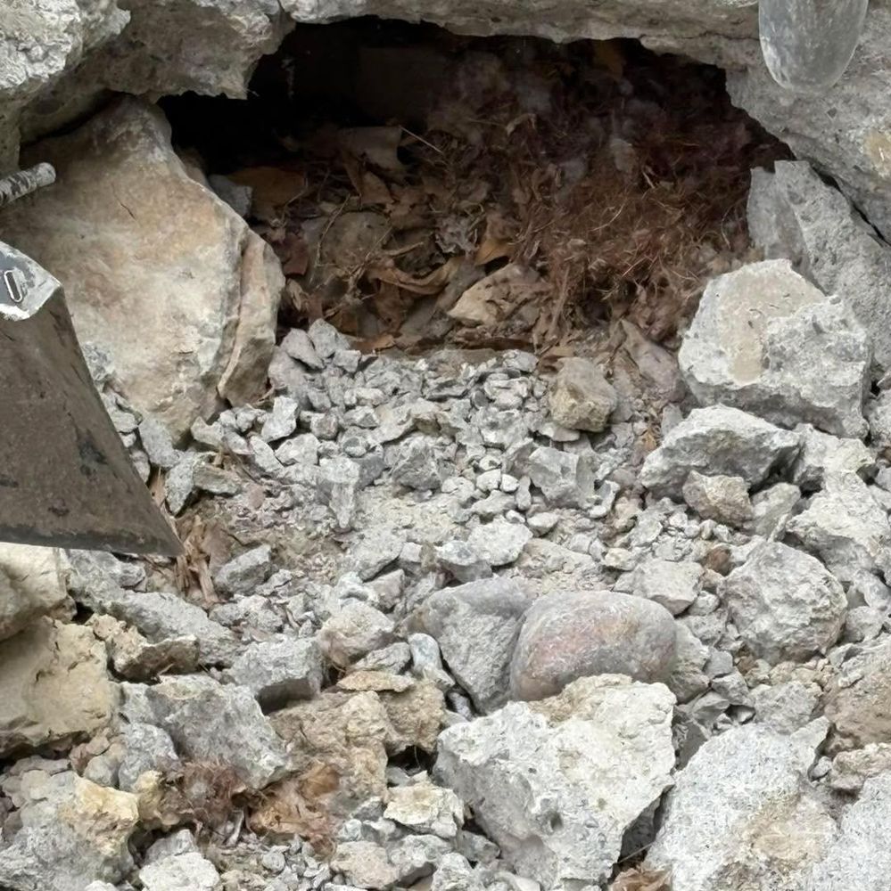 All Photos for Outdoor Dynamics LLC in Sherburne County, MN