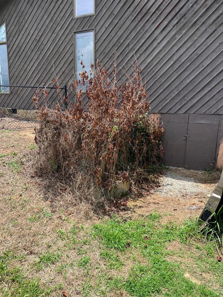 All Photos for Gatrell Landscape & Tree Removal in Bluff City, TN