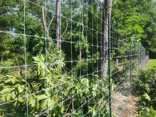 All Photos for Lawn Ranger Yard And Tree Service LLC in Ottumwa, IA