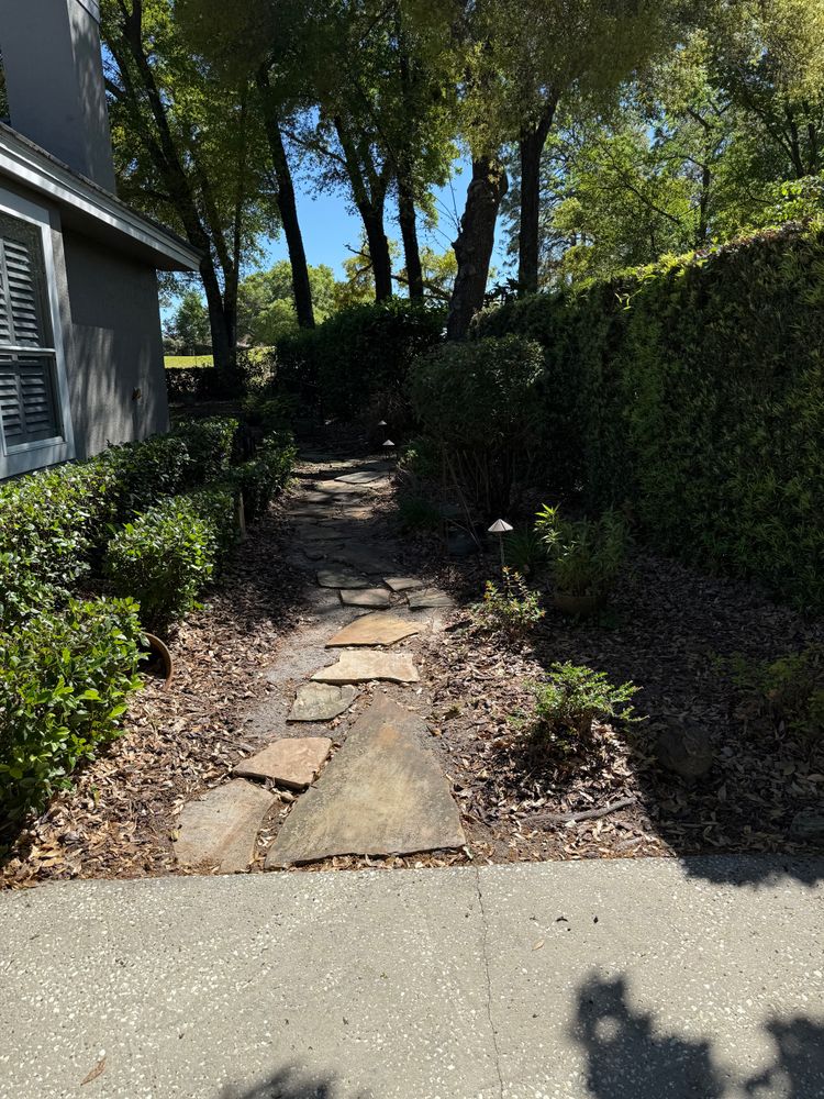 All Photos for Amerigrown Tree And Lawn in Apopka, FL