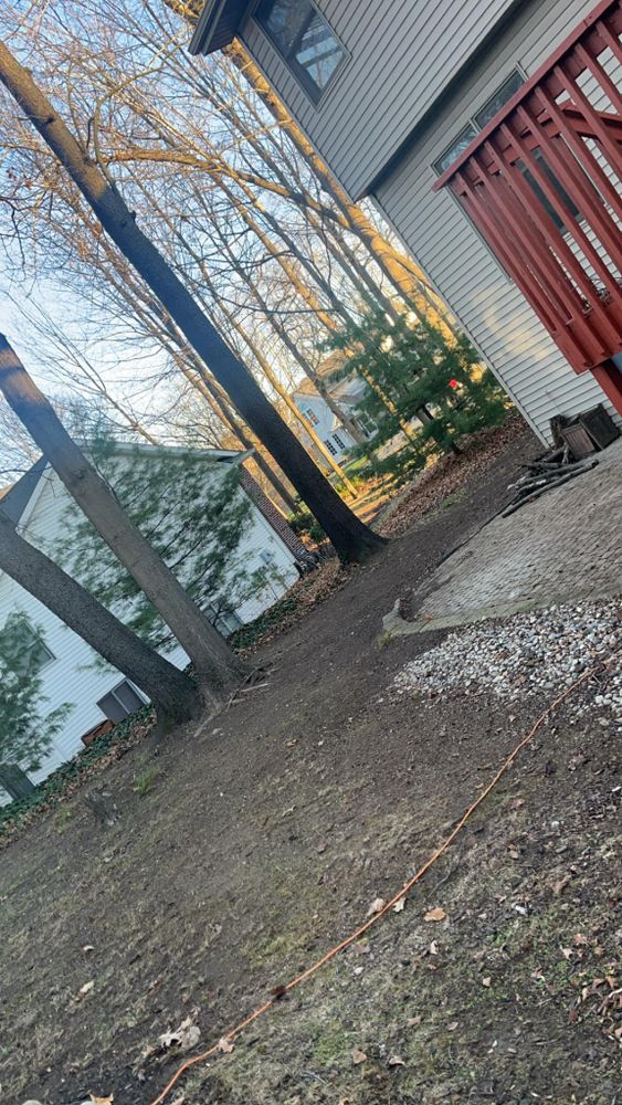 All Photos for Quick Removal Solutions in Lansing, MI