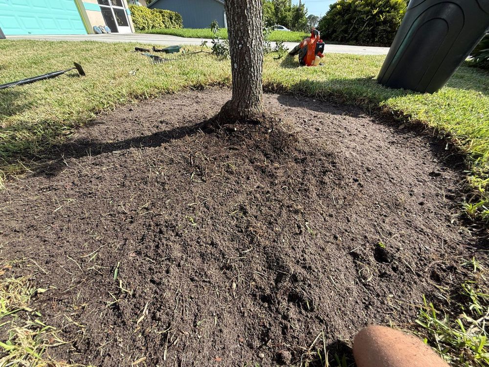 All Photos for MX Trees in Englewood, FL