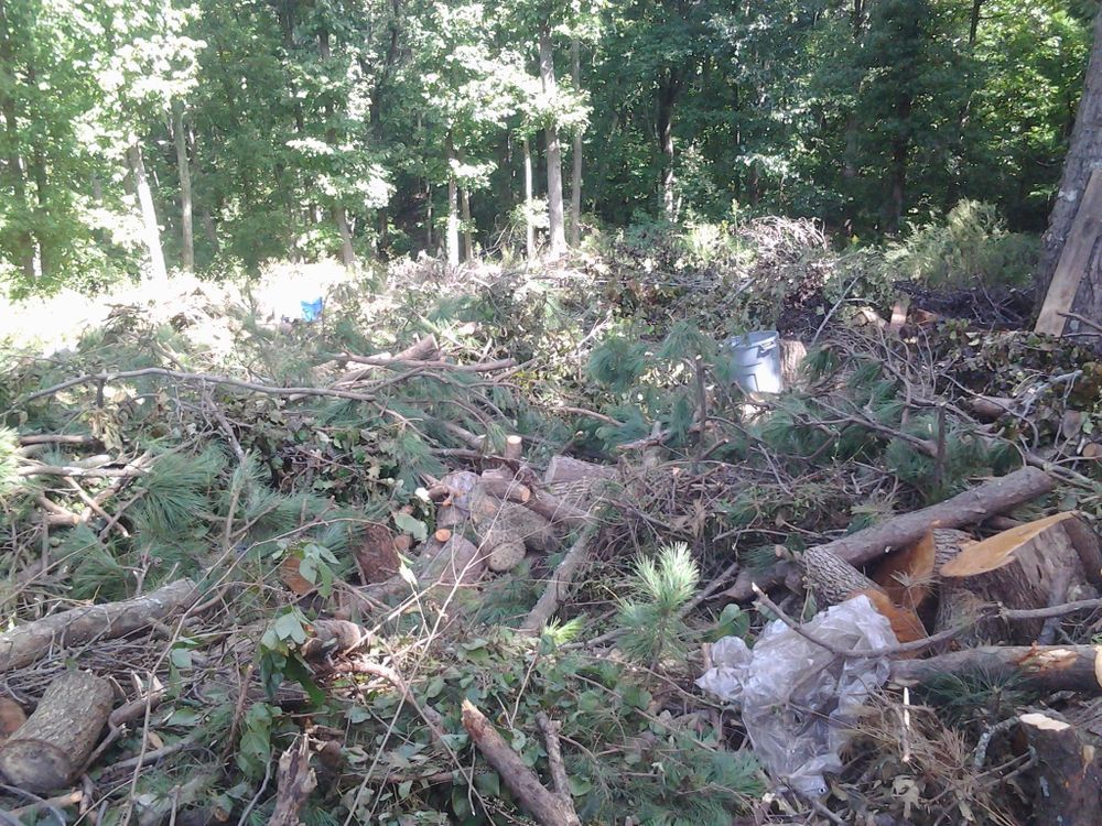 Tree Services for Wofford's Grading Clearing and Landscaping in Milton, GA